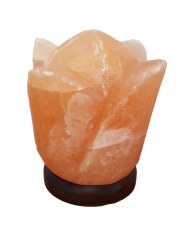 Himalayan Salt Lamp - Carved - Open Tulip